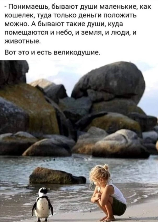 1786169707_ab01a67941.webp