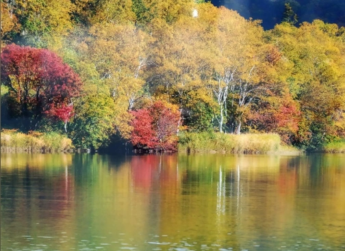 1787311929_7b396188bf.webp