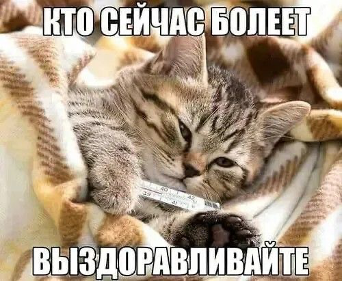 1788760426_2ff3f77c41.webp
