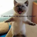 Аватар