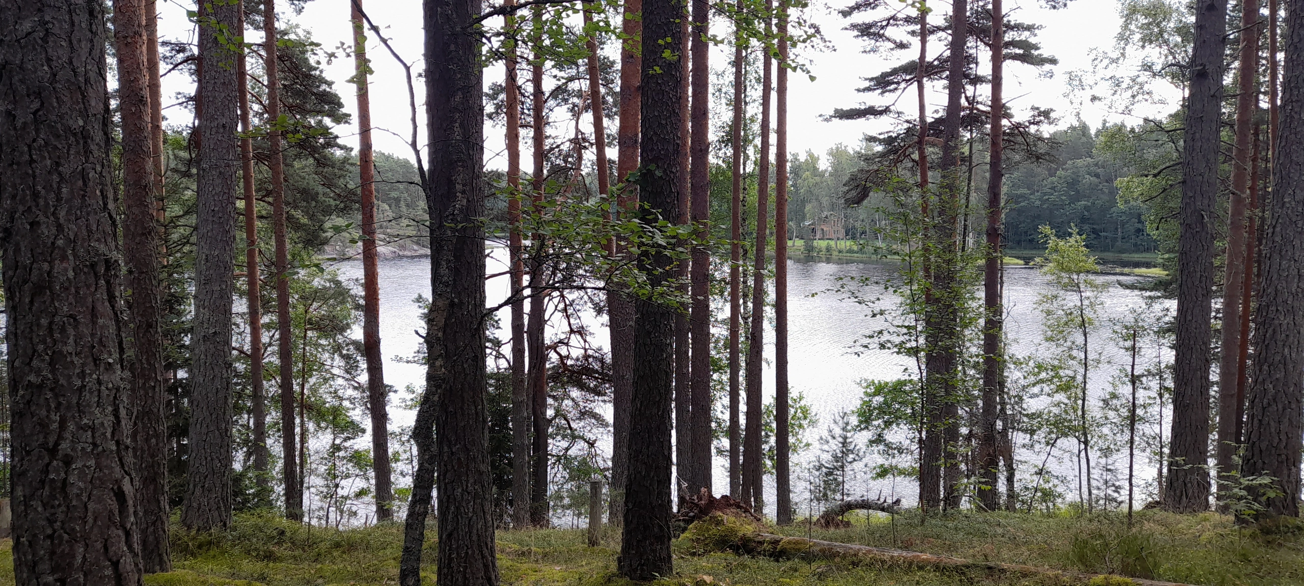 1785401980_e1caf29c51.webp