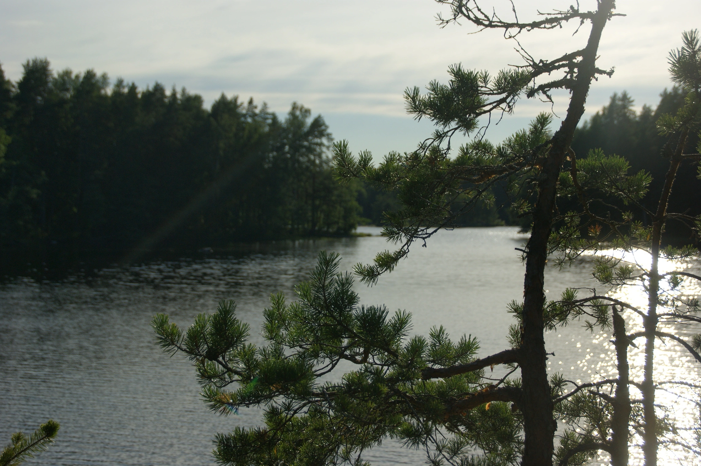 1785402198_231f91cf57.webp
